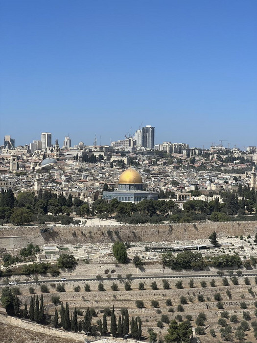 Überblick über Jerusalem vom Ölberg